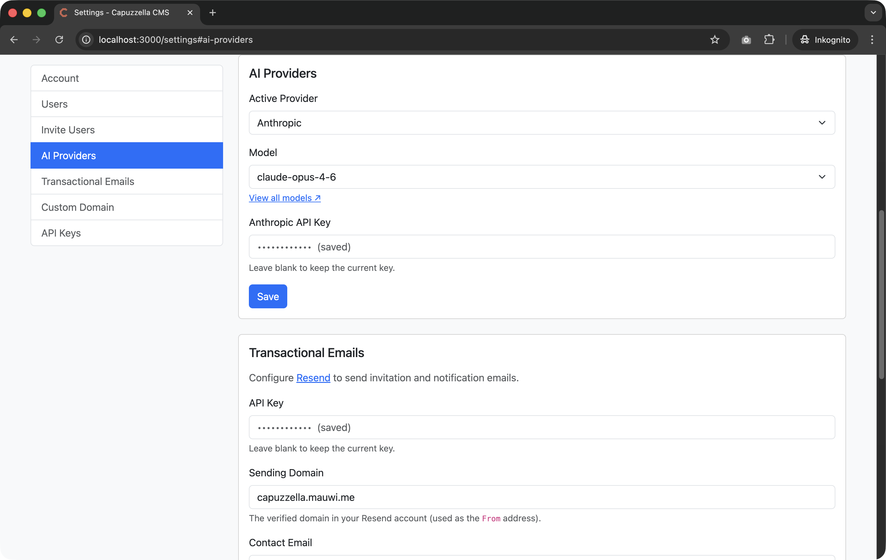 Screenshot of the Capuzzella Settings page showing the AI Providers section with fields for selecting OpenAI or Anthropic and entering an API key