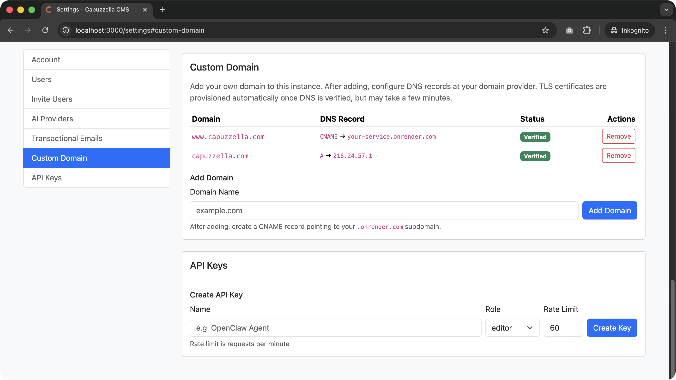 Screenshot of the Capuzzella Settings page showing the Custom Domain section with a domain input field and DNS verification instructions