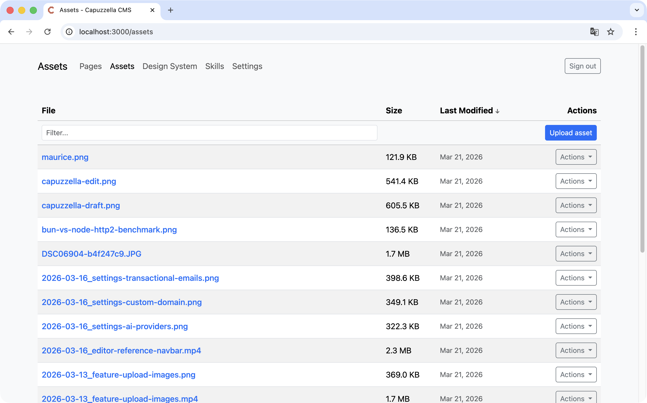 Asset Management interface showing uploaded files in a grid view